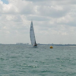 Ocean Races Spring 1 and 2